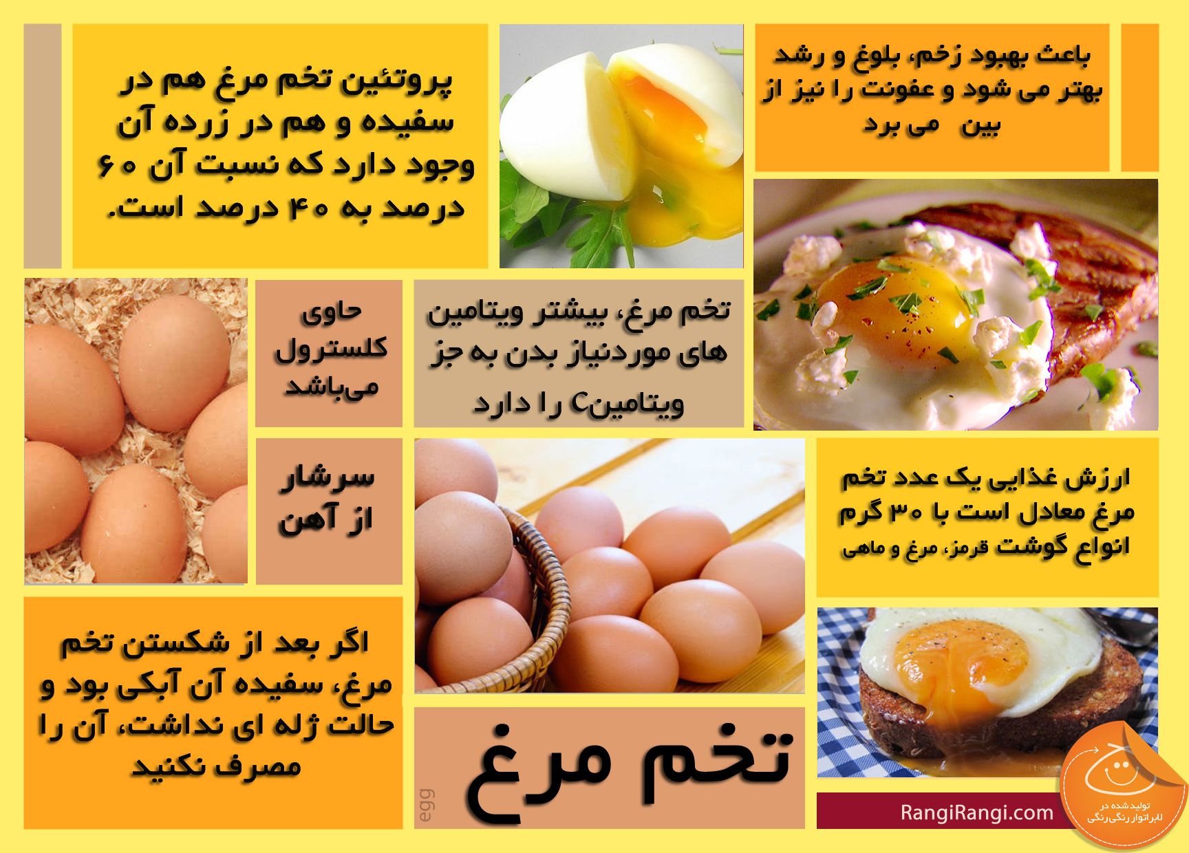 ۱۳ روش برای پختن تخم مرغ با طعم‌های لذیذ و دلچسب